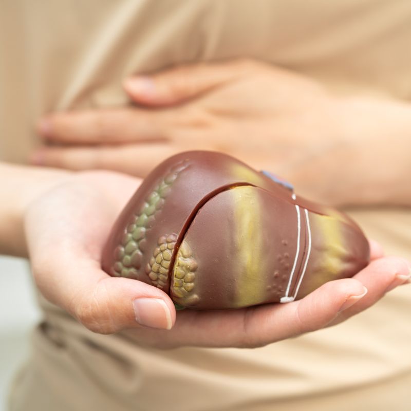 λίπος συκώτι