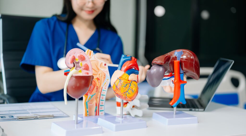 λίπος συκώτι