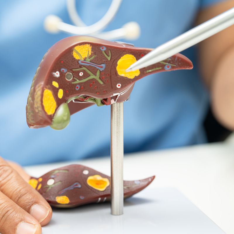 Ηπατικός Έλεγχος