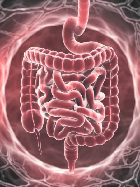 καρκίνος λεπτού εντέρου